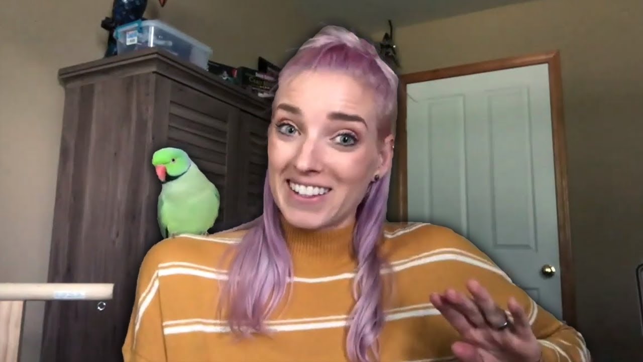 Keeping My Indian Ringneck CAGELESS | Do Parrots NEED a Cage?
