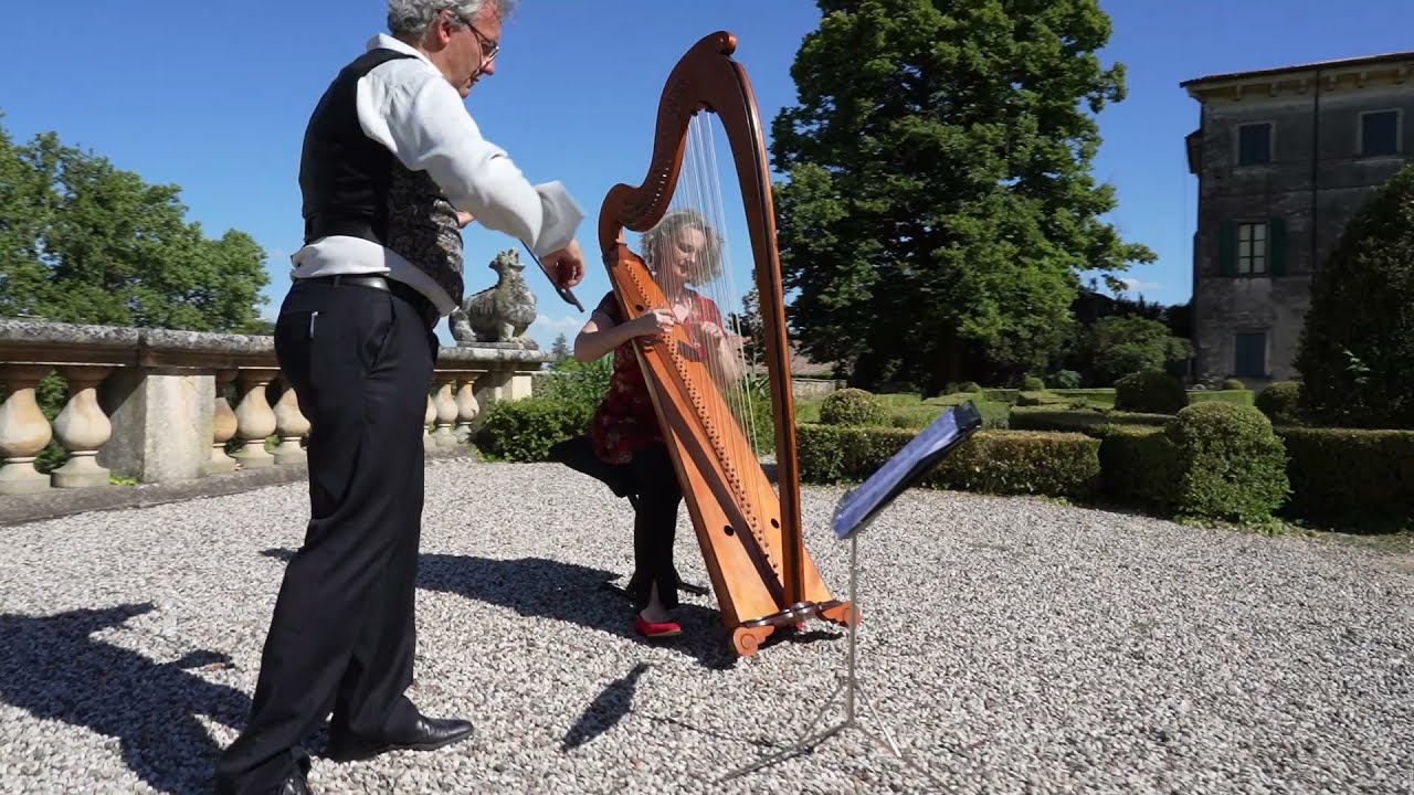 Heinrich Döbel (1651-1693) Sonata Solo pro fidis - ARPARLA