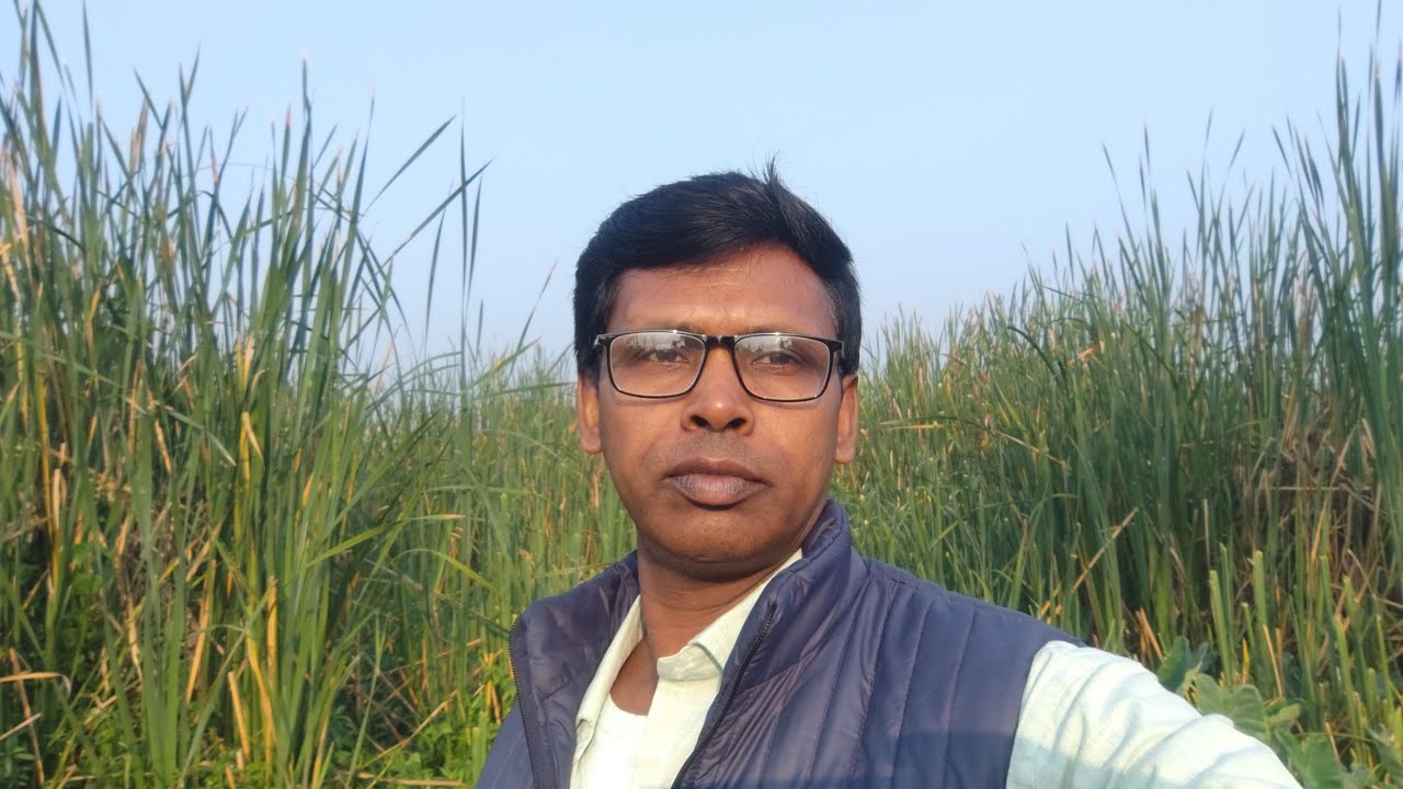 শুভ সকাল বন্ধুরা