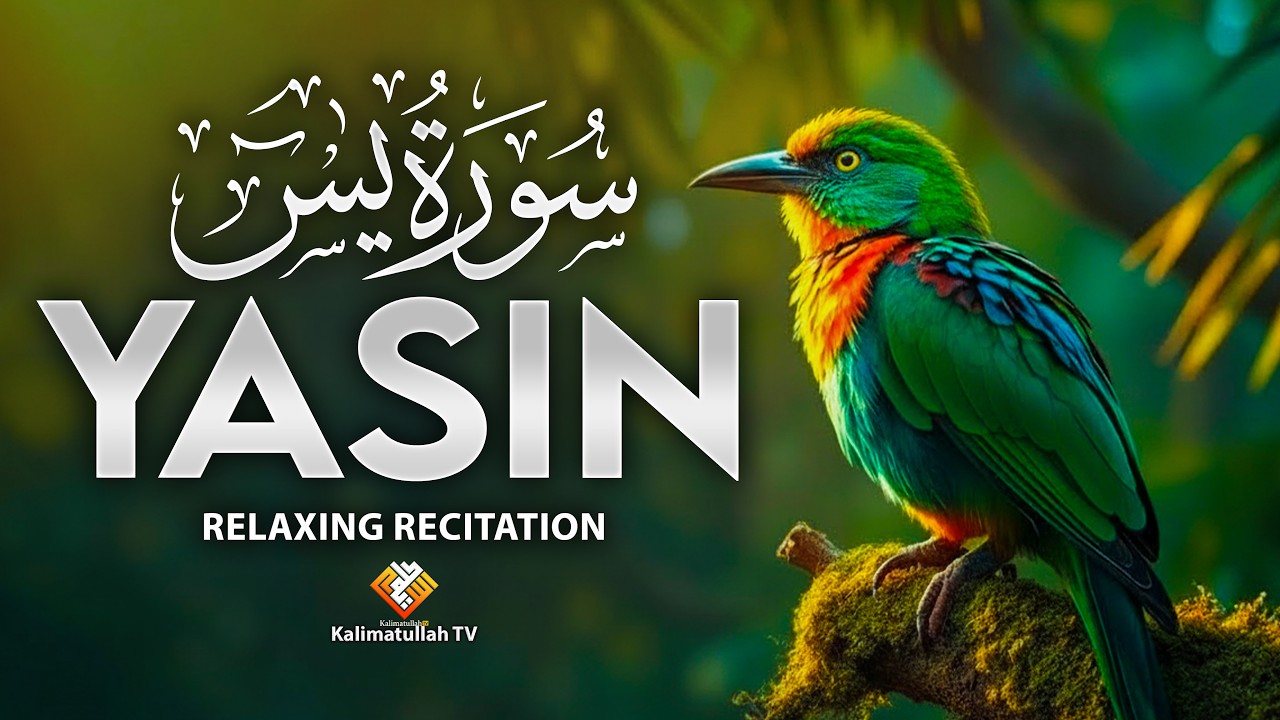 Surah Yaseen (سورة يس) | Powerful Healing Qur’an Recitation for Mercy, Barakah & Protection
