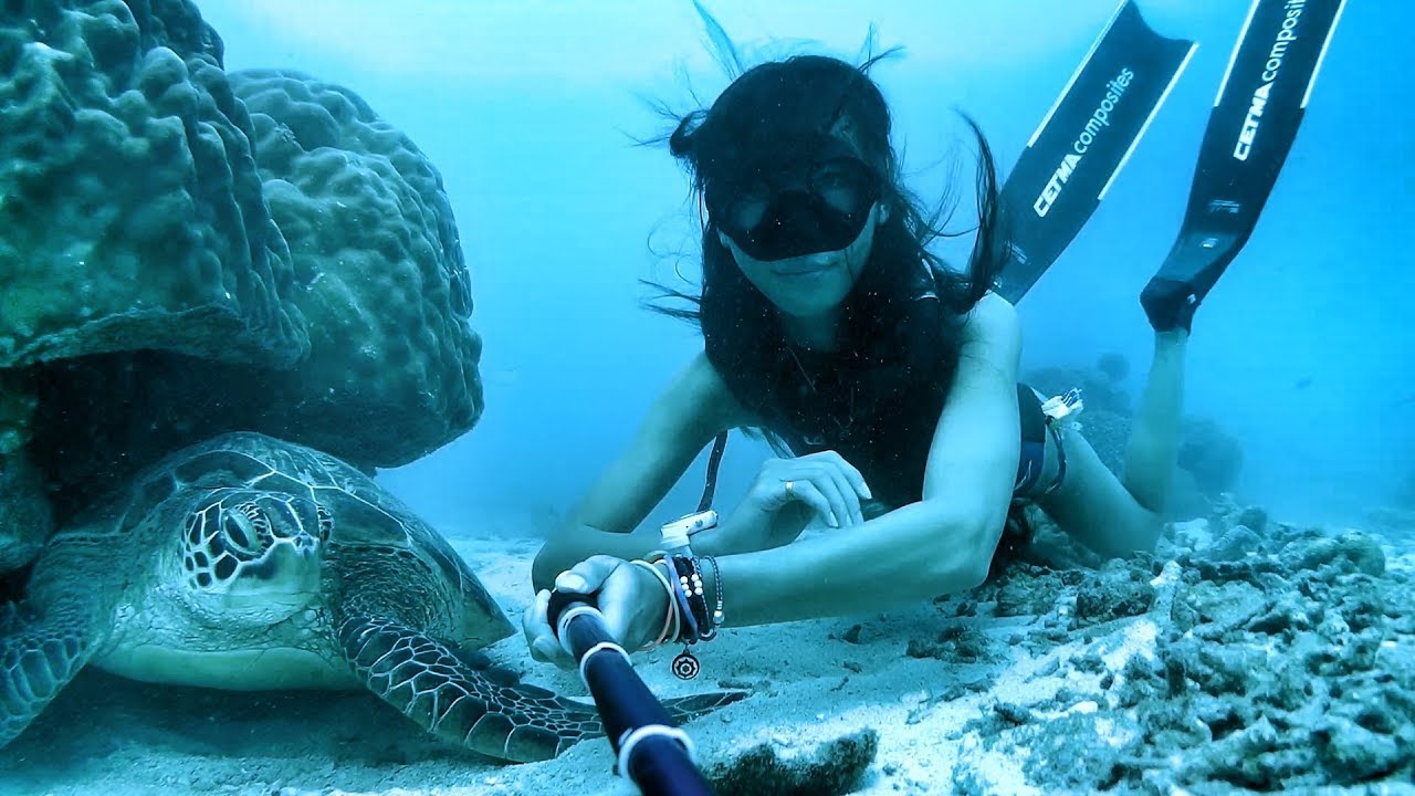 Dive Fesita2017 DUMAGUETE FREEDIVING 菲律賓 潛水嘉年華 杜馬蓋地