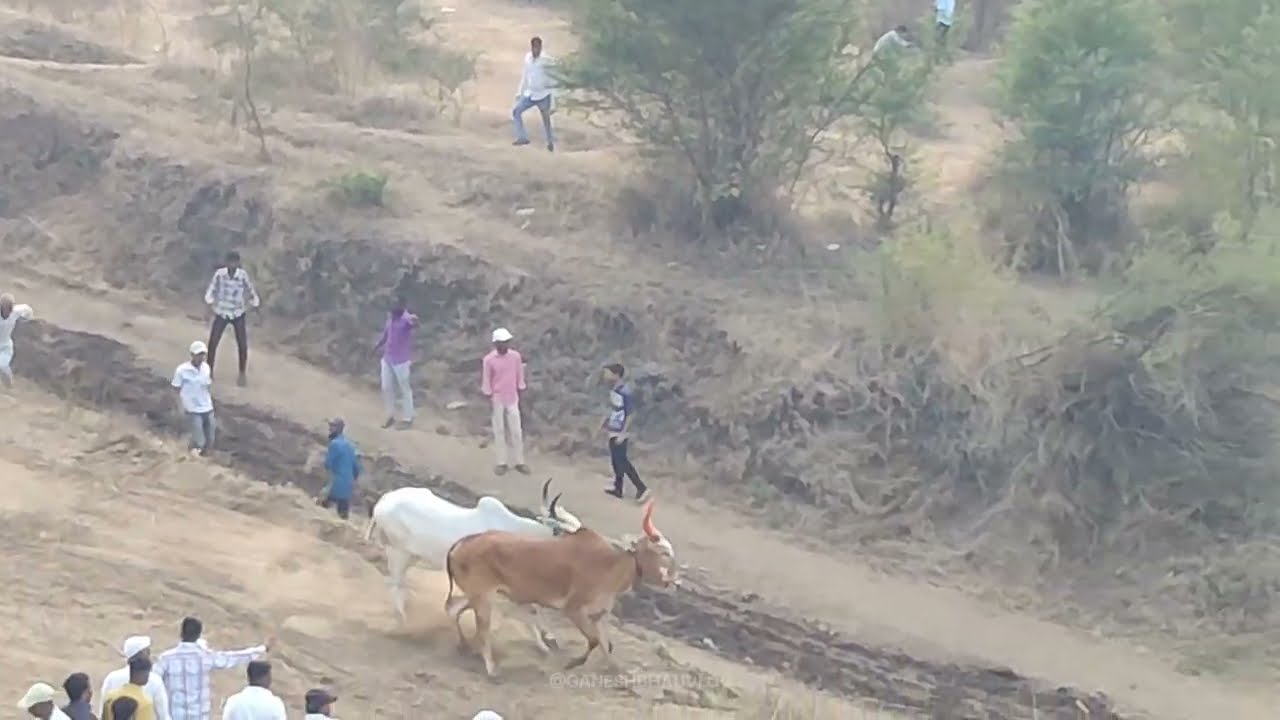 बैलगाडा शर्यत | He Kay Zala 😱
