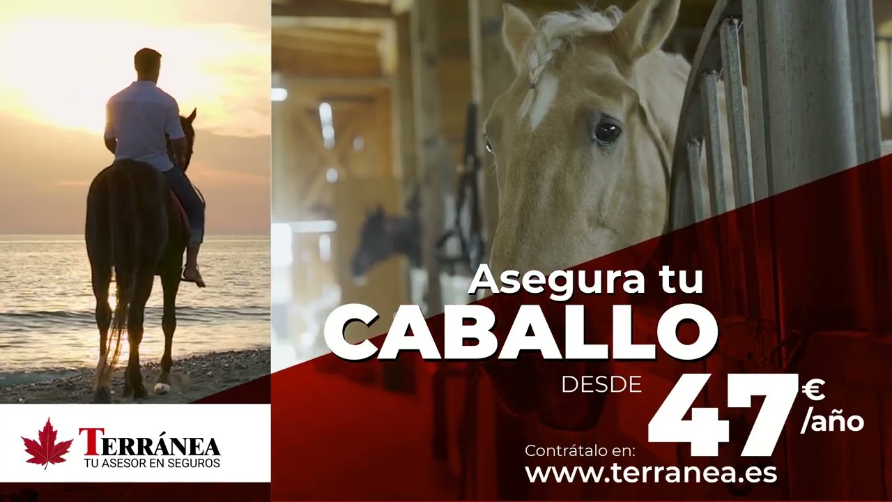 SEGURO PARA CABALLO DESDE 47 €/AÑO