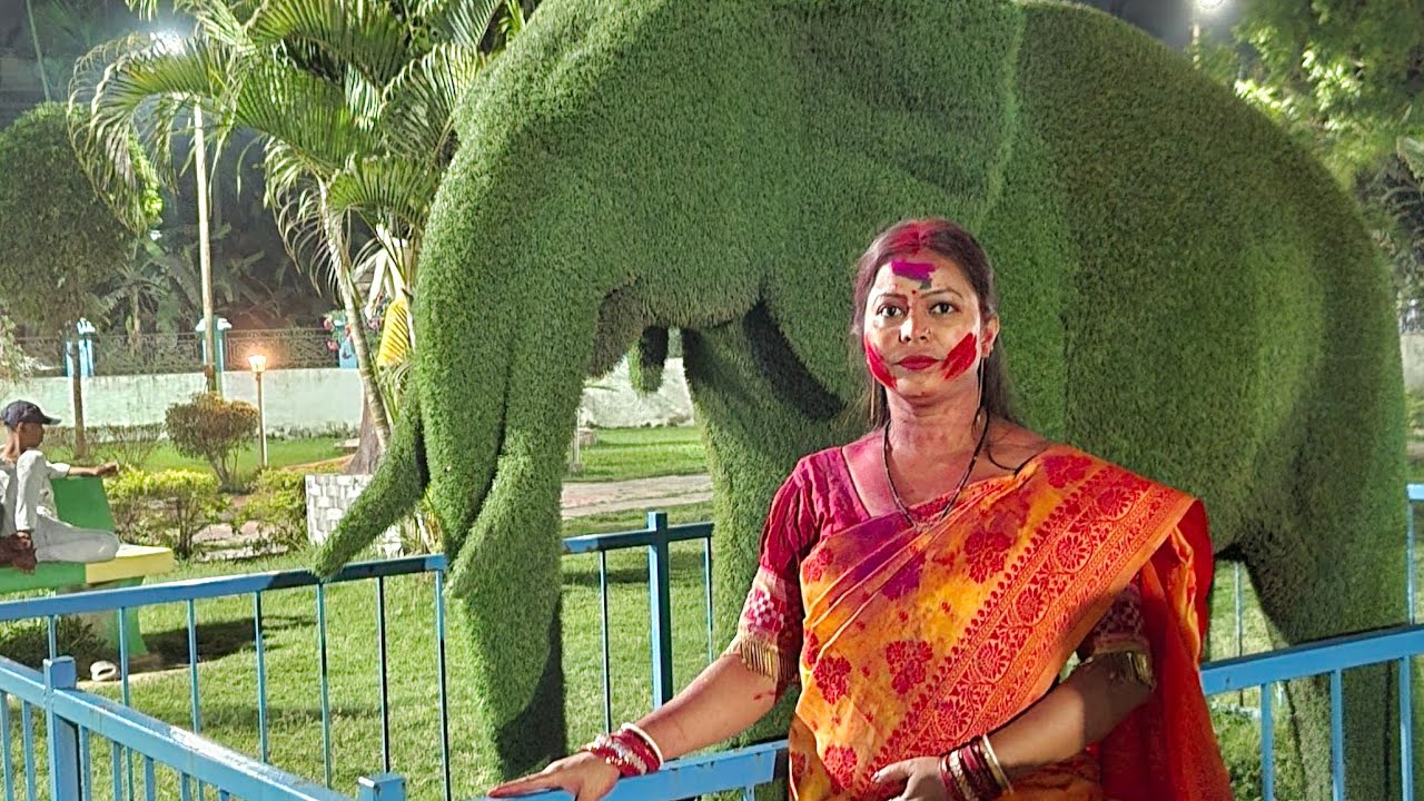 ঝুমা সোনালি সংসার is live