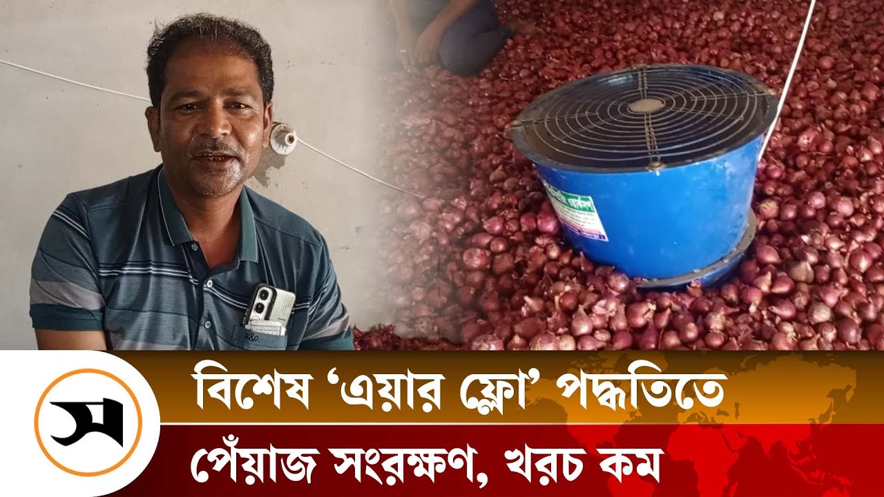 শৈলকুপায় বিশেষ পদ্ধতিতে পেঁয়াজ সংরক্ষণ, খরচ কম | Onion | Samakal News