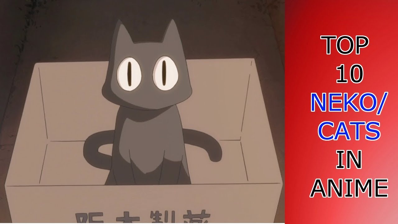 Top 10 Neko/Cats in anime
