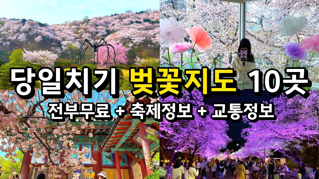 당일치기 벚꽃 나들이 명소 10곳(전부 무료)🌸 축제일정, 교통정보 / 4월 국내여행지 가볼만한곳 서울근교