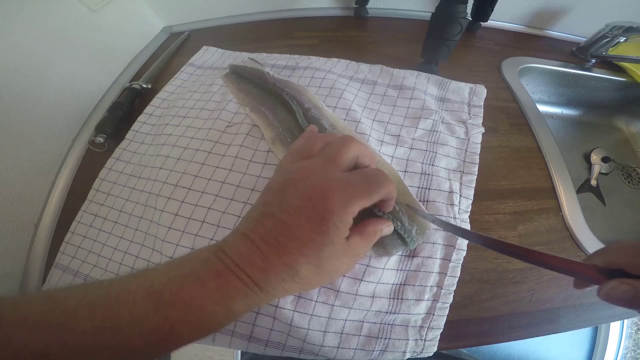 Udbening af Hornfisk