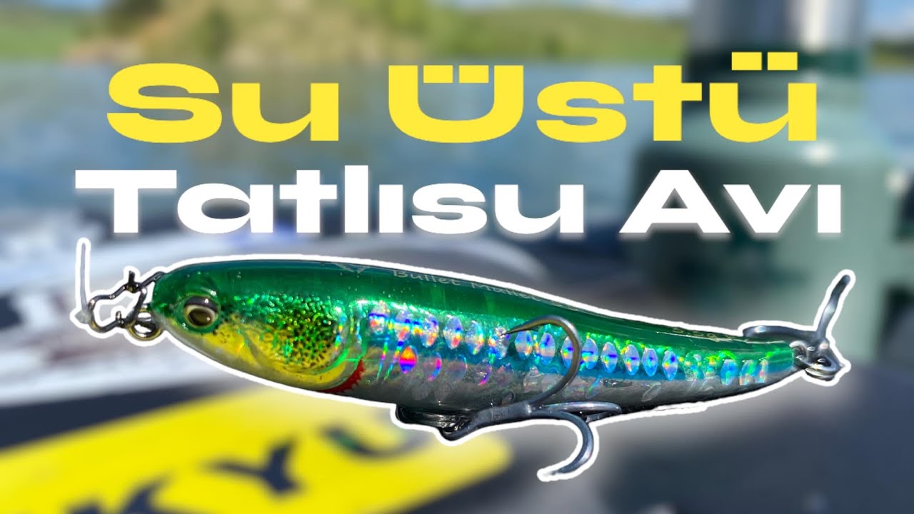Su üstü sahtelerle Tatlısu avı / Topwater lure chub fishing