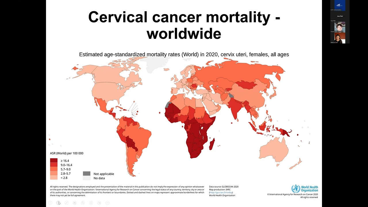 HPV Vaccination Programs for Cervical Cancer Prevention in LMICs