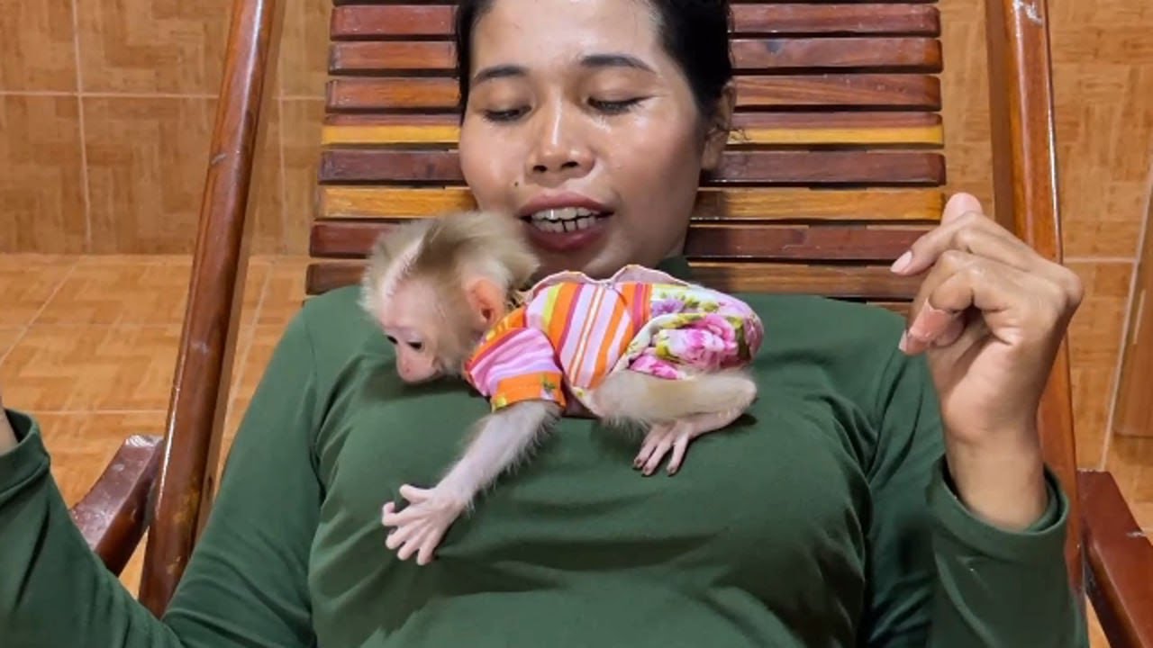 A Tong Like Baby Frog Cling On Mom Taking A Rest After Work