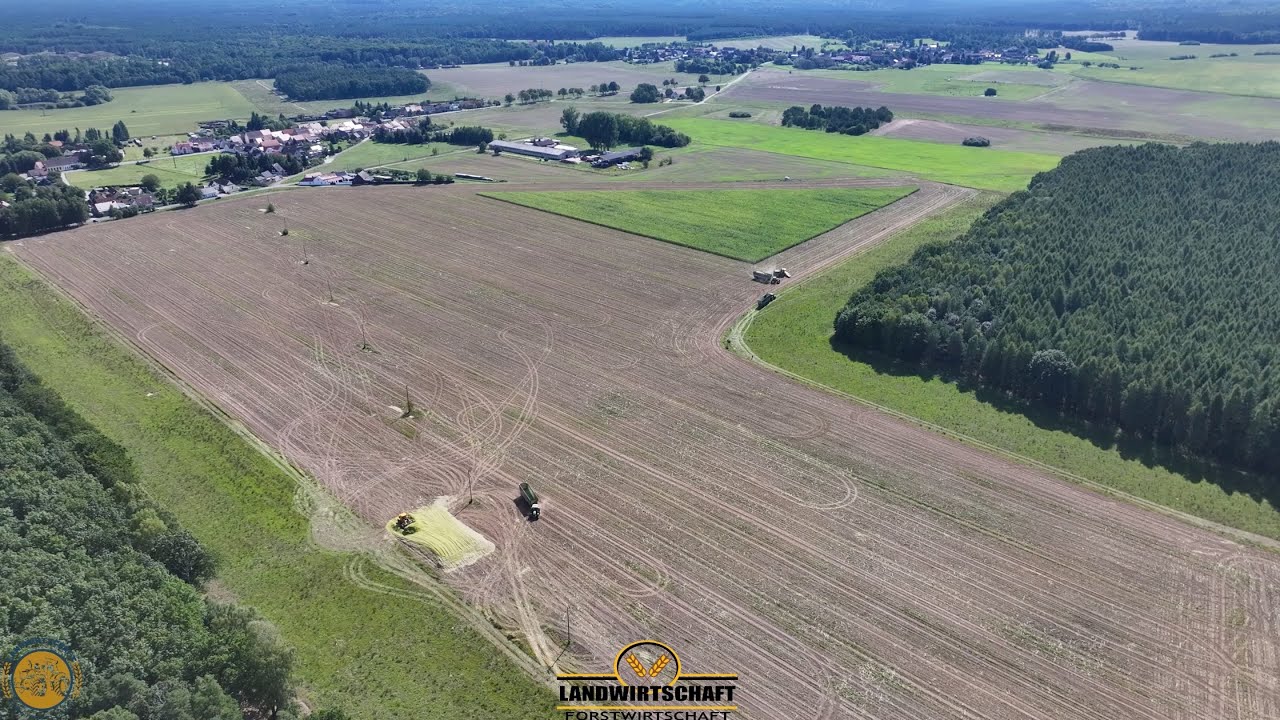 Mais lagern direkt auf der Fläche! Maishäckseln & Feldsilo bauen Köhl Harvest 42.000T ha Maisernte
