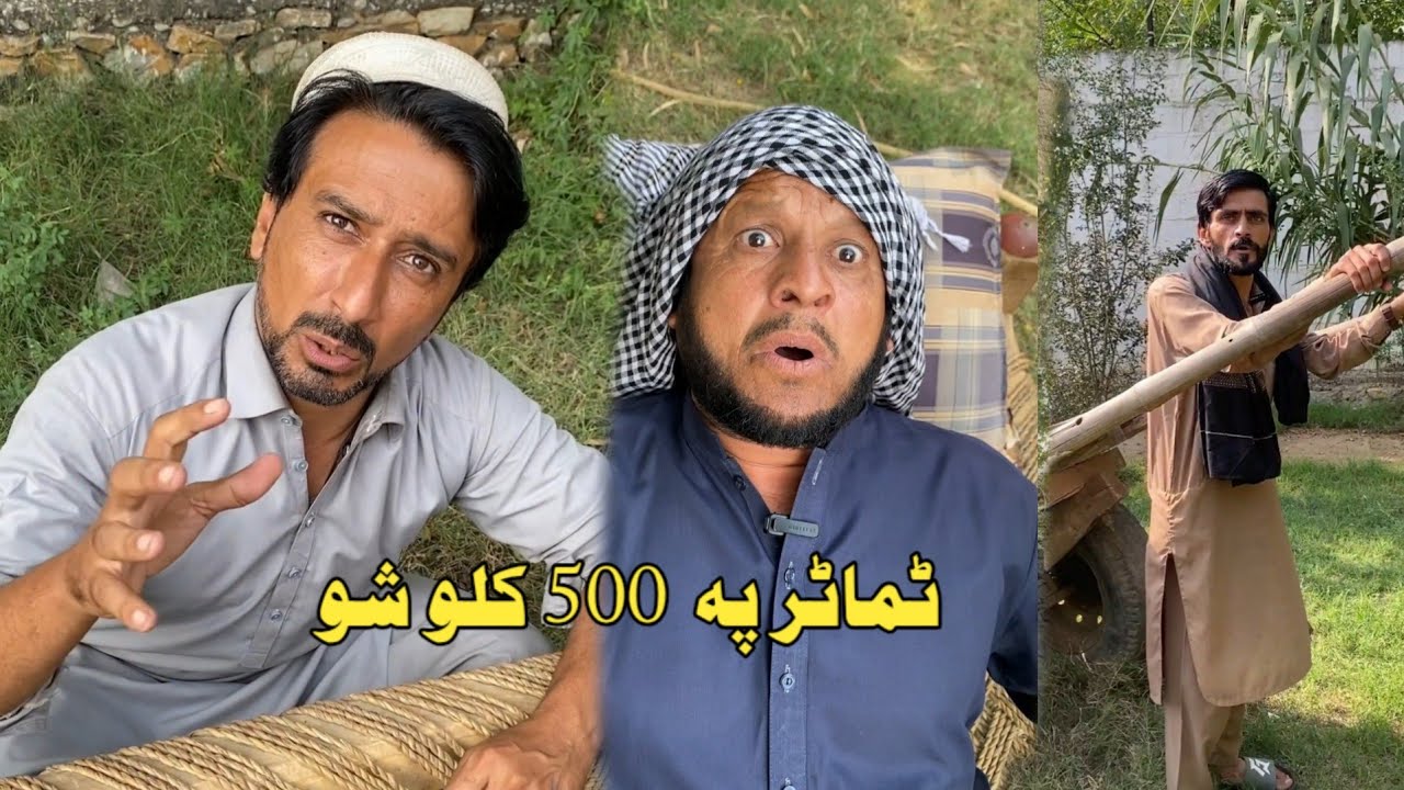 Tomater Pa 500 Kelo Show | Pashto Funny Video New Drama Kaliwal Vines 2025