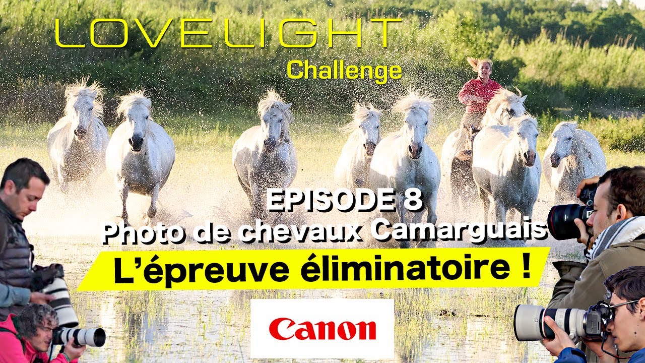 S1E8 Lovelight Challenge Photo en mouvement au Canon EOS R6 Mark II : Les chevaux Camargues !