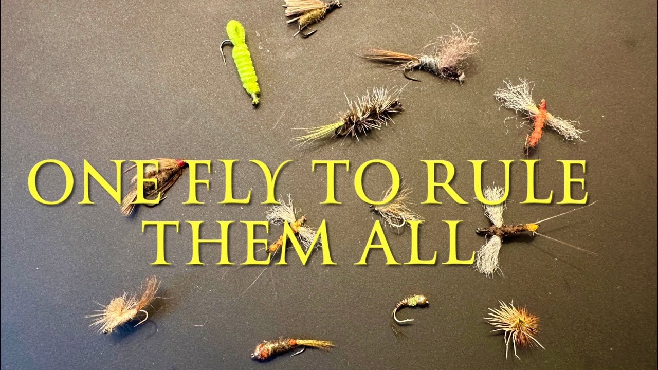 One Fly To Rule Them All - The Versatile, Humble, Effective and Dependable CK Nymph