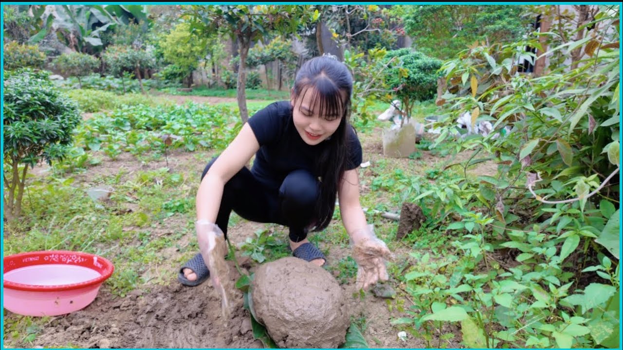 Gà bọc đất nướng ngon không lối thoát. Hiền Vlogs