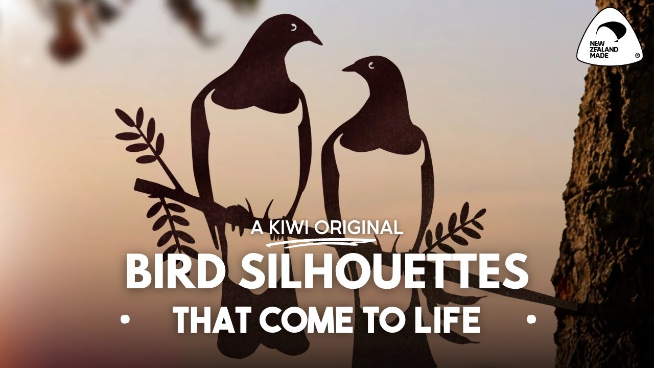 A Kiwi Original - Phil Walters | Metalbird