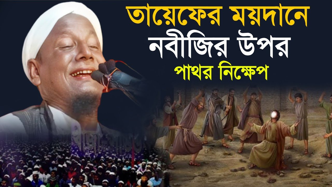তায়েফের ময়দানে নবীজির উপর পাথর নিক্ষেপ। Maulana Afsar Ali Bayan.