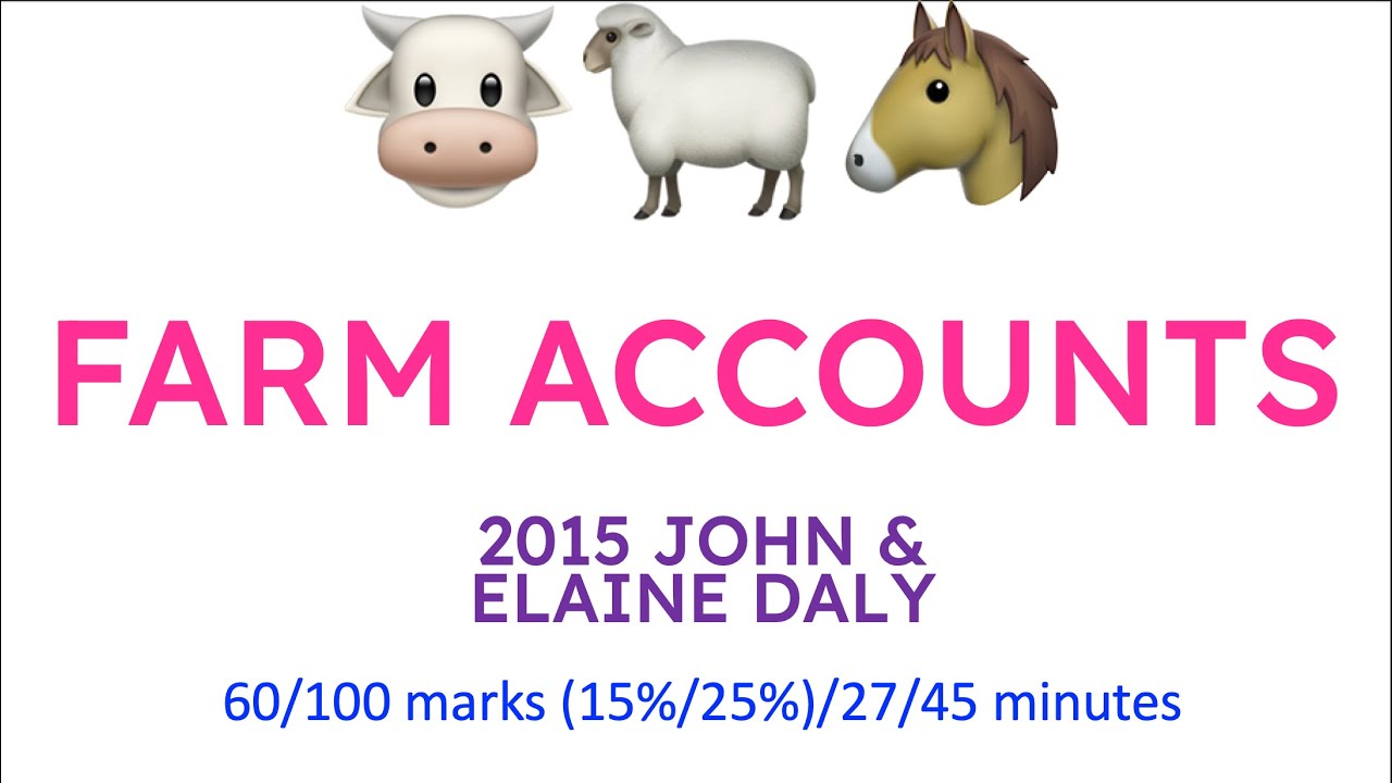 2015 FARM ACCOUNT JOHN AND ELAINE DALY | LEAVING CERT ACCOUNTING