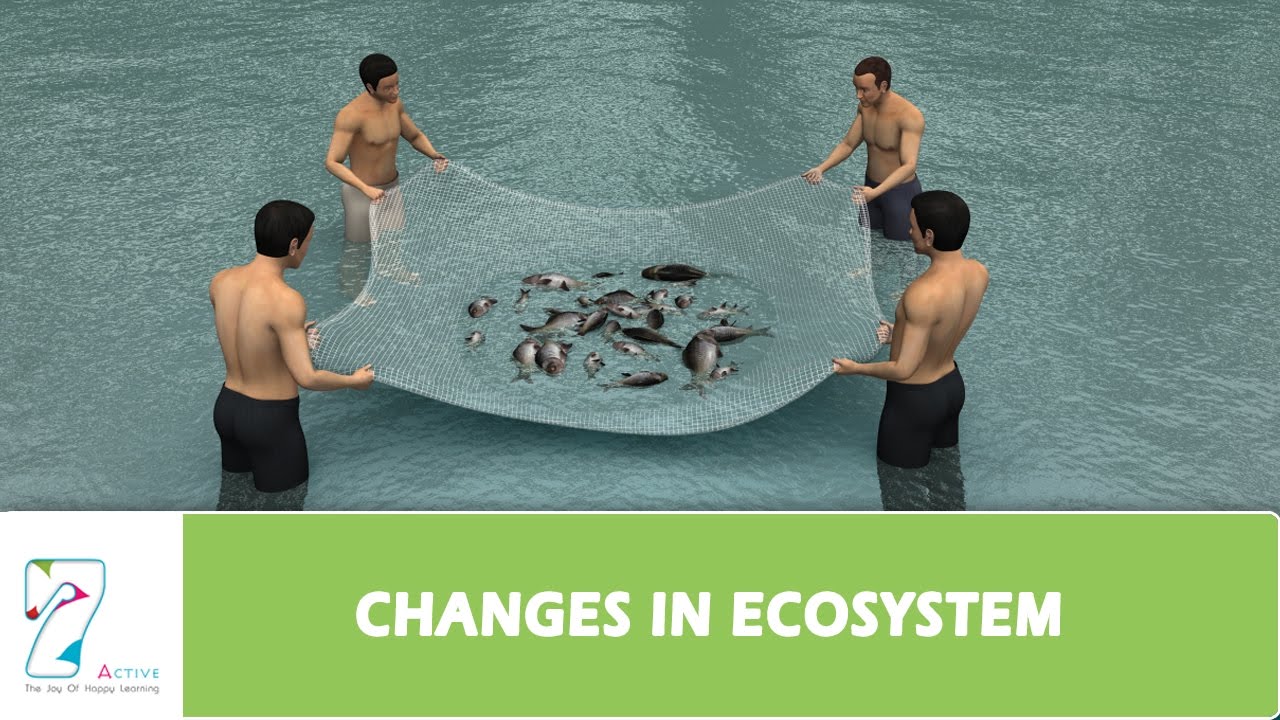 CHANGES IN ECOSYSTEM