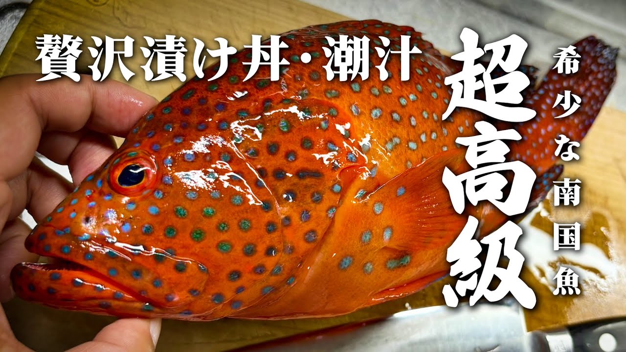 一見、ヤドクガエルに見えるこの魚。実は激ウマです！