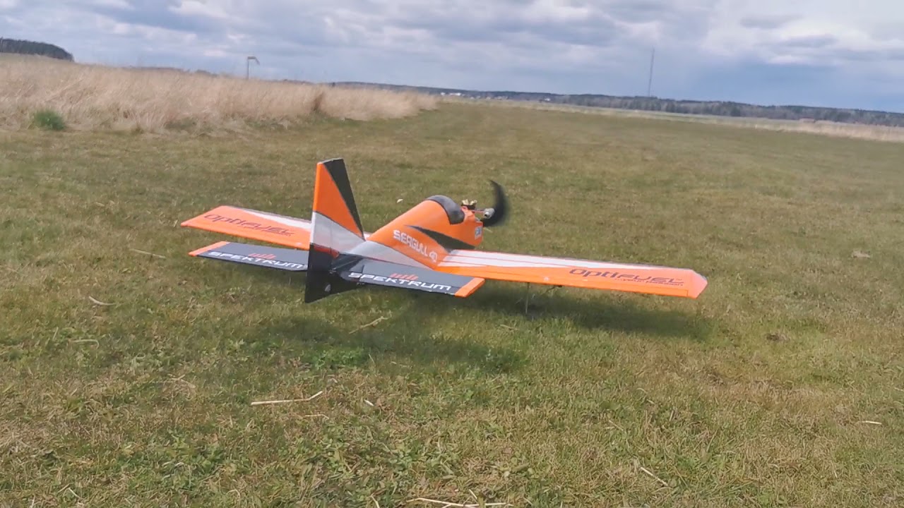 Seagull low wing trainer