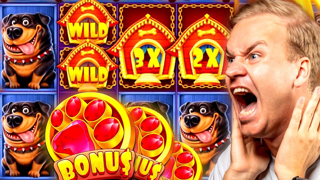 MAXIMUM SCATTERS ON DOG HOUSE 1000!!!!