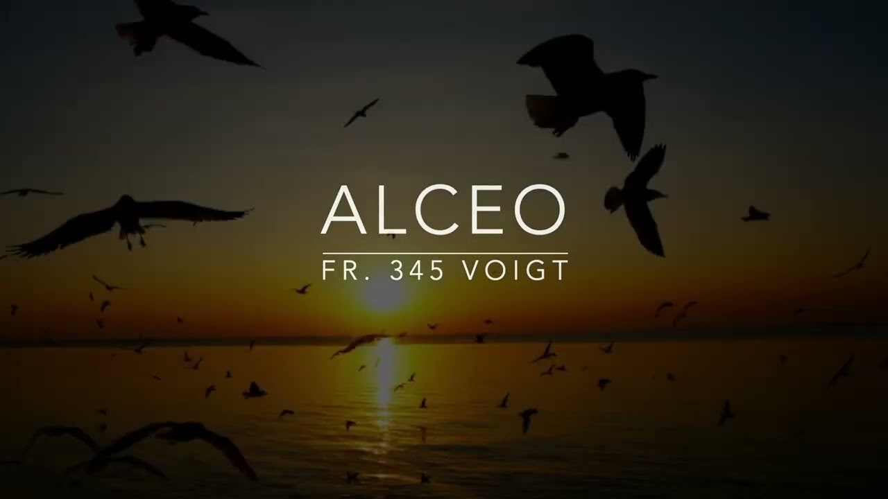 Per la Notte Nazionale del Liceo Classico 2025 - Volare sul mare infinito - le voci dei lirici greci