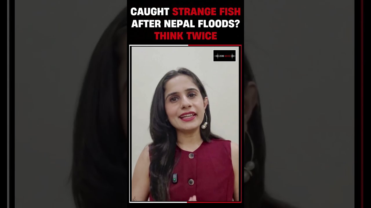 Nepal Floods Bring Mystery Fish To Bihar &mdash; Here's Why You Should Avoid Eating Them! | #nepalflood
