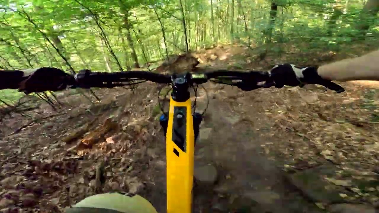 „Bikeländ“ Eberbach. Neckarcoaster