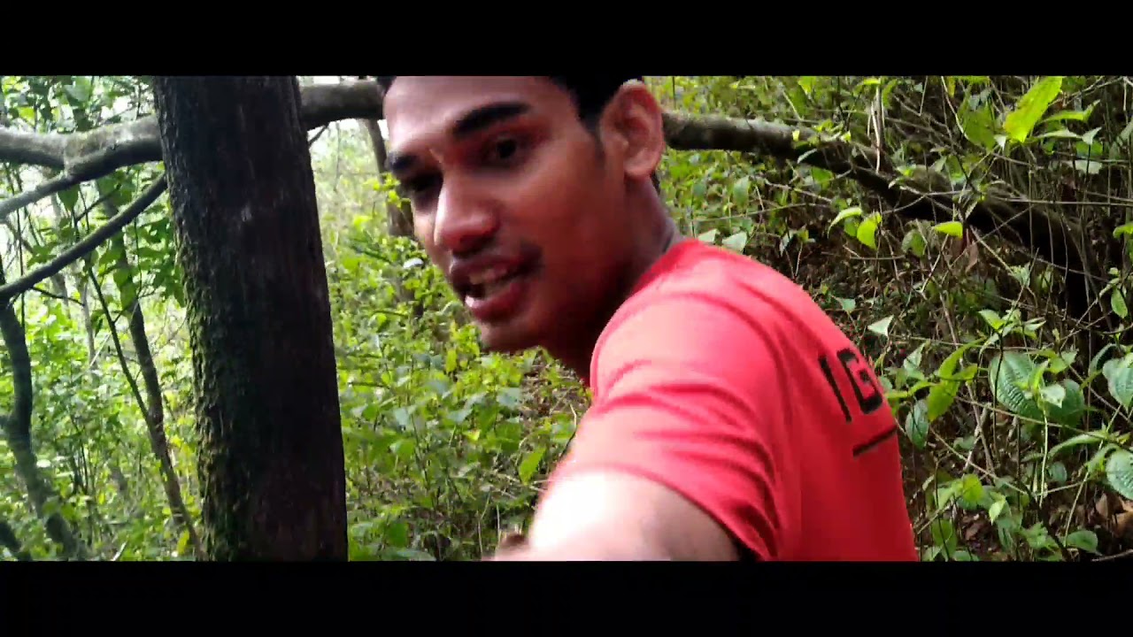 Top Deck - Home Stay - Kuttikanam - Trekking to some random hill trails - Unexplored forest hiking