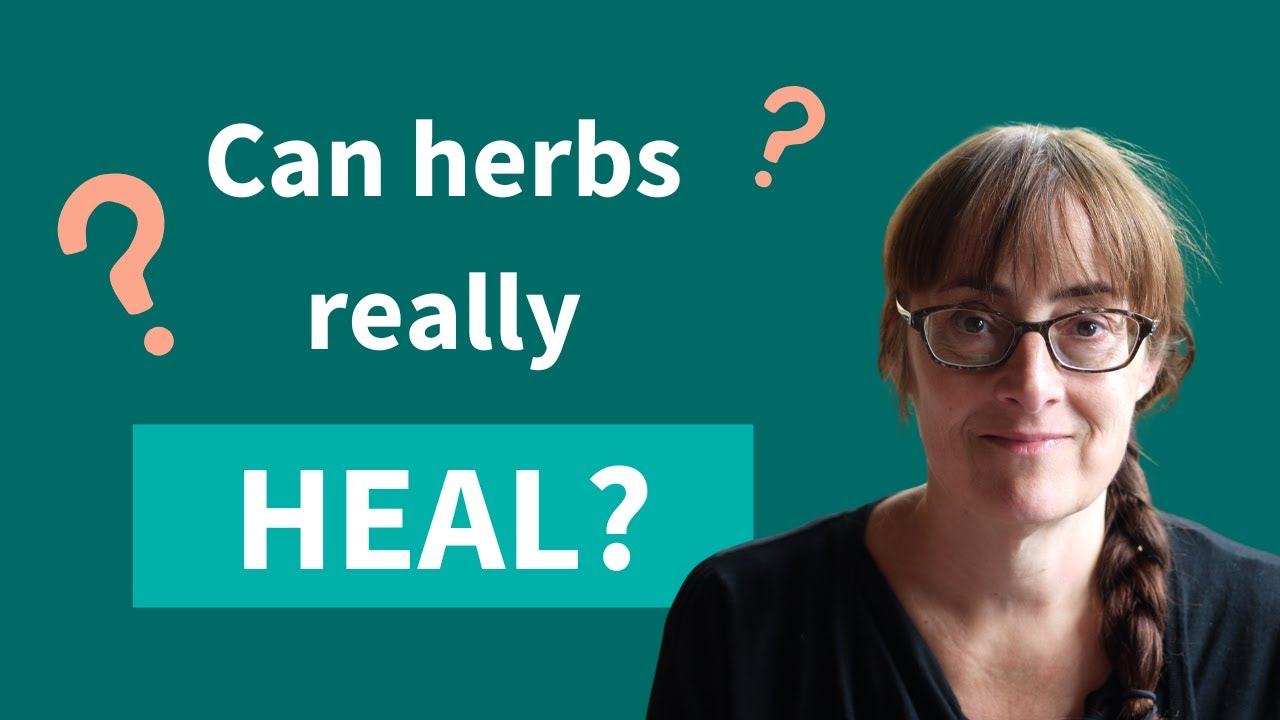 The Science of Herbal Teas 🍵 | Dr Viv Rolfe on Herbs, Health & Healing