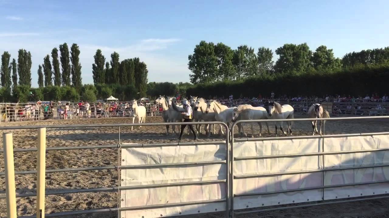 Giona Show a La Bisa, Trecenta (RO), 2/6/2015