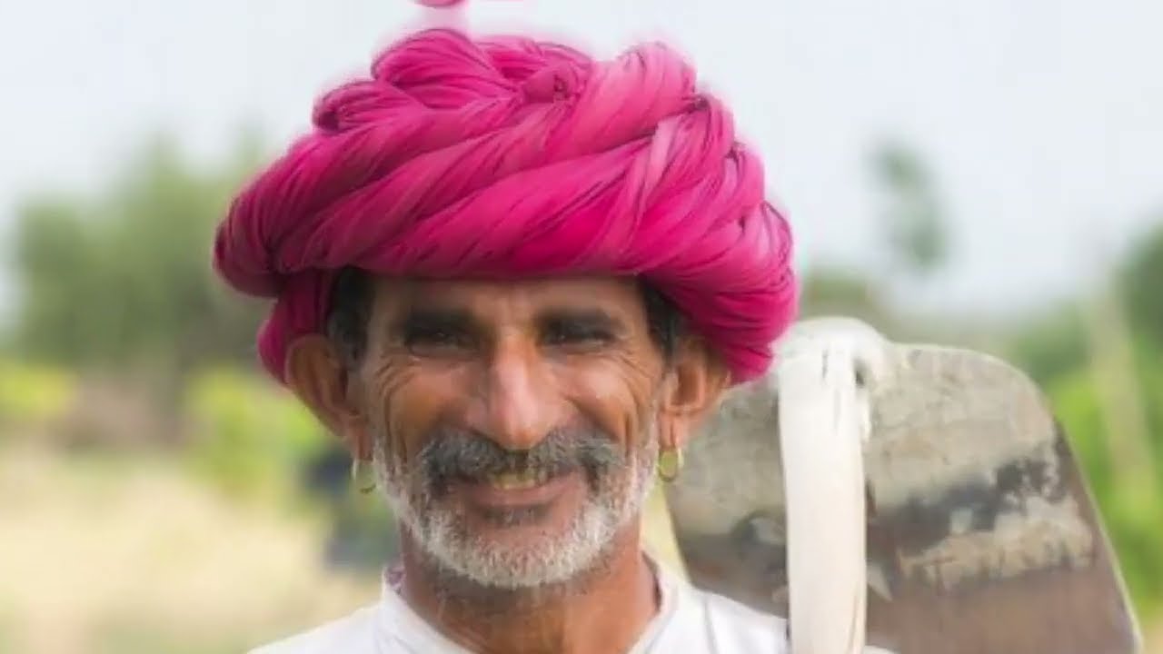 सकाळी उठून ही 5 पाने खावीत 100 वर्षे आजारी पडणार नाही | घरातील आयुर्वेदिक उपचार मराठी