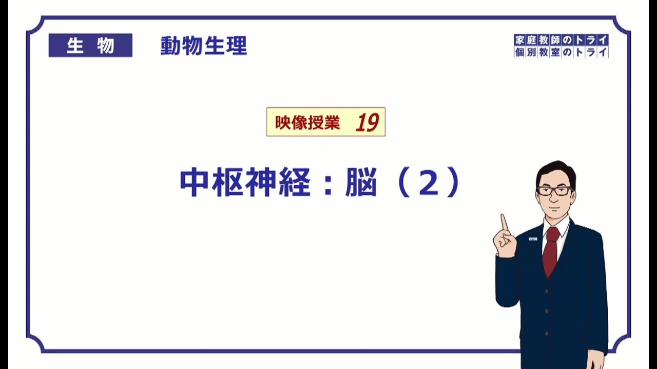 【高校生物】　動物生理19　中枢神経：脳（２）（１５分）
