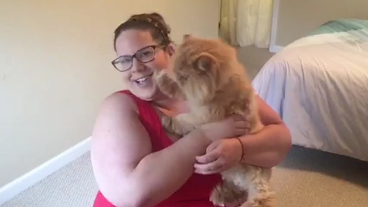 Whitney Introduces You To Her Cats And Answers More Of Your Questions!