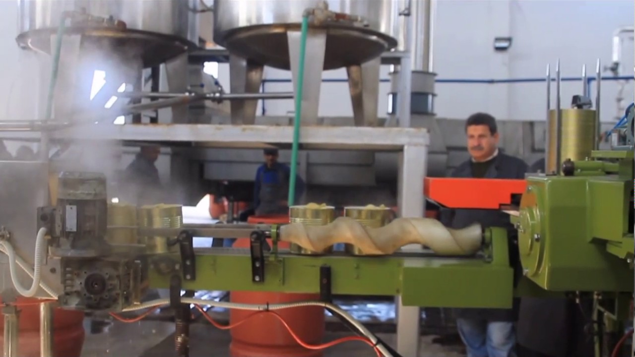 Artichoke production line    packing, processing and exporting 2
