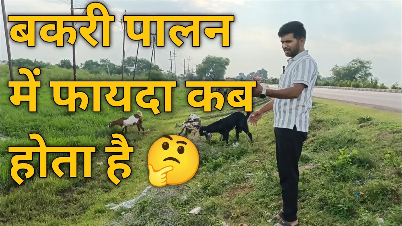 बकरी पालन में असली मुनाफा कब मिलता है?Goat Farming Profit Secrets
