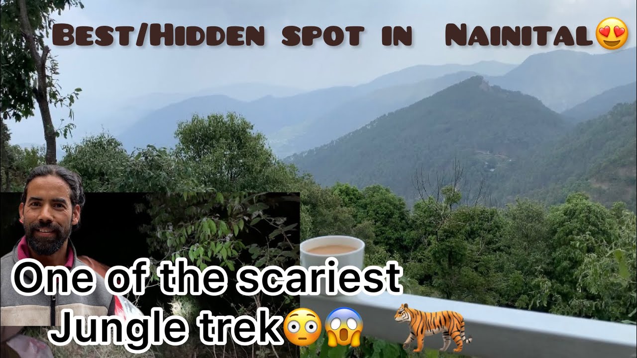 Jungle me Leopard🐆😱? Scariest Jungle Trek in Nainital, Uttarakhand | What a location😍| Venue 2022