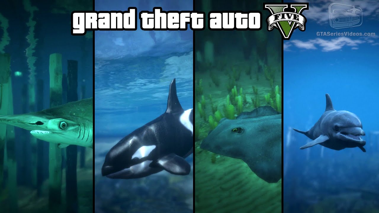 GTA 5 - Play as a Fish (Shark, Dolphin, Orca, Stingray & more) [PS4 & Xbox One]