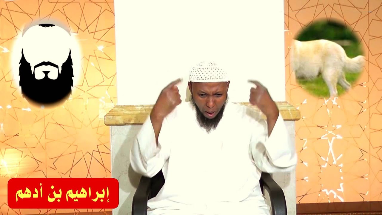 قصة أدب الحوار في الإسلام