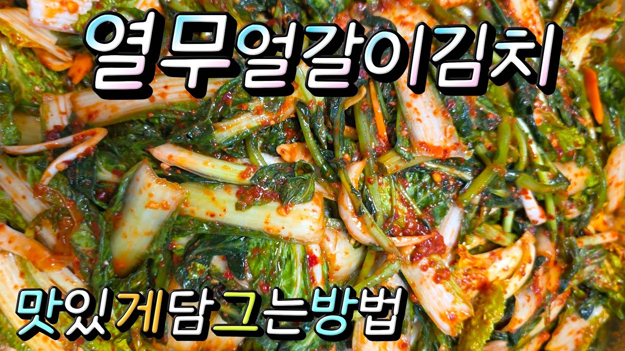 열무얼갈이김치 요즘 너무 맛있네요 양념이 정말정말 맛나게 레시피 #열무얼갈이김치 