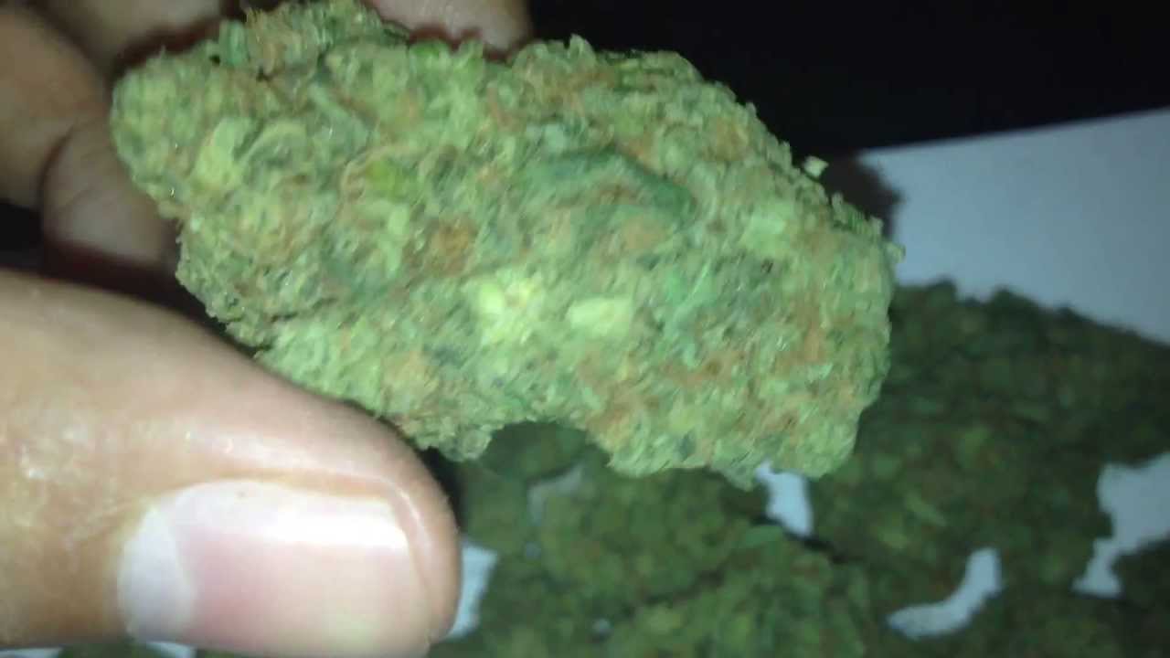 Silver Haze Strain (SkunkXNorthern Lights)