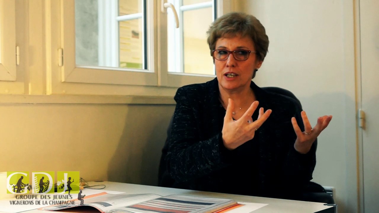 La Loi Evin expliqu&eacute;e par Maitre Gautheron