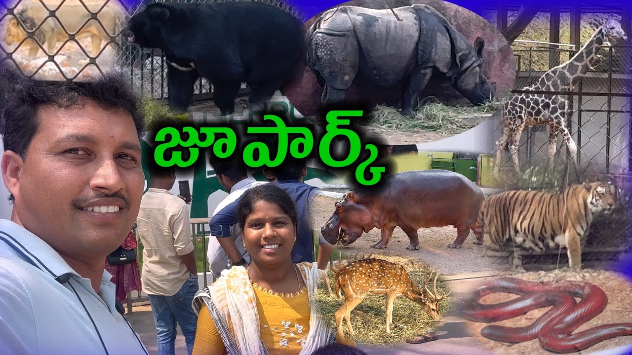 hyd జూపార్క్  || MKTV VLOGS #MKTVVARSHINI #VLOG 561
