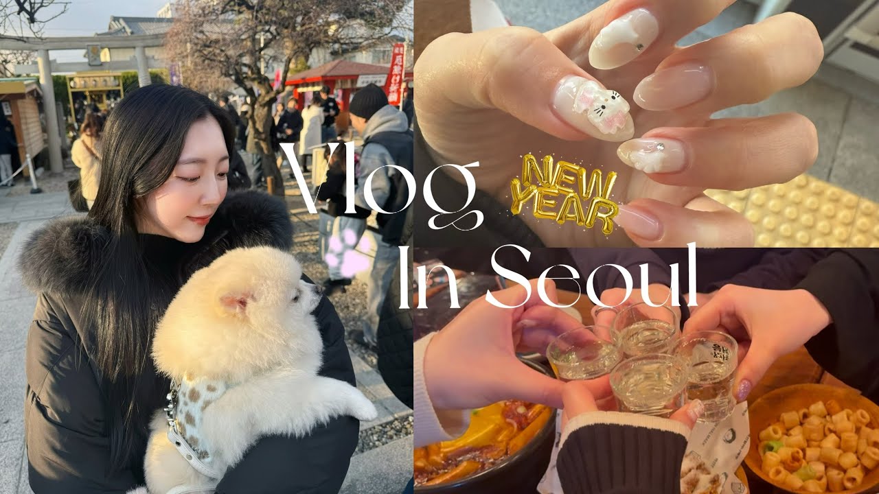 Vlog ❤︎ 日本女子4人の韓国での年越し🎍🎆,大晦日の過ごし方,出勤💻,ネイル,実家帰省🐶🐾,ママとディナー🍽️🦪
