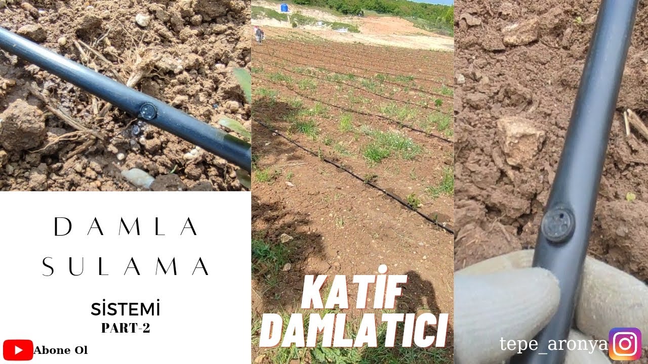 Katif Damlatıcılı damla sulama sistemi | Bölüm 2 | Tepe Aronya