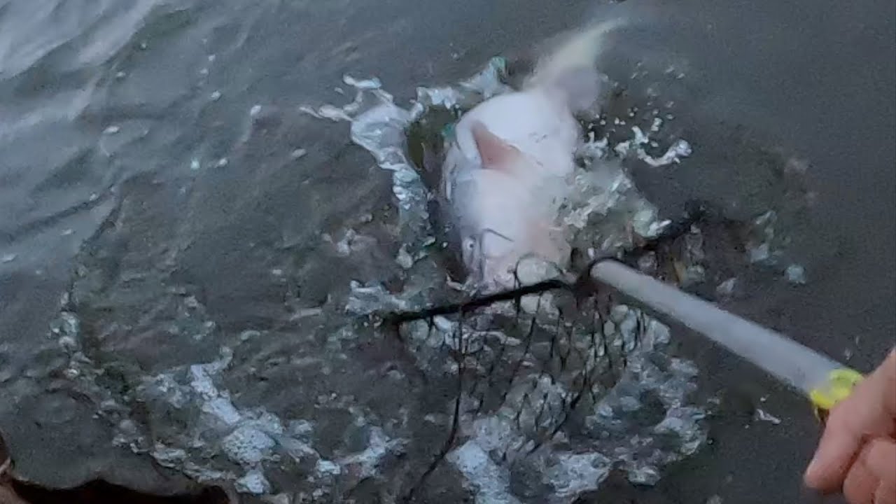 The Triple! Fishing For CATFISH And Whatever