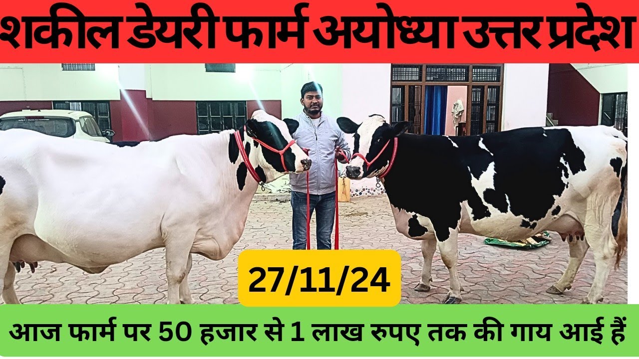 शकील डेरी फार्म के ऑनर ने जो बात बताई कोई नहीं बतायेगा,यह तो अपने पैर पर कुल्लाड़ी मारने जैसी बात है
