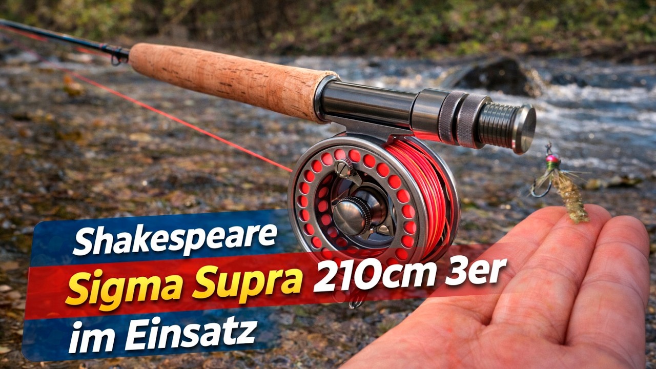 Shakespeare Sigma Supra 210cm 3er im Einsatz #flyfishing #fliegenfischen #trout